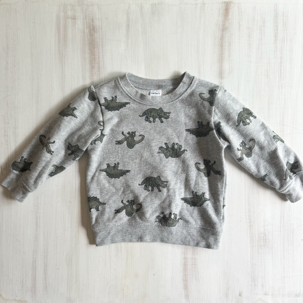Carter’s dinosaur sweatshirt (size 12-18 months)